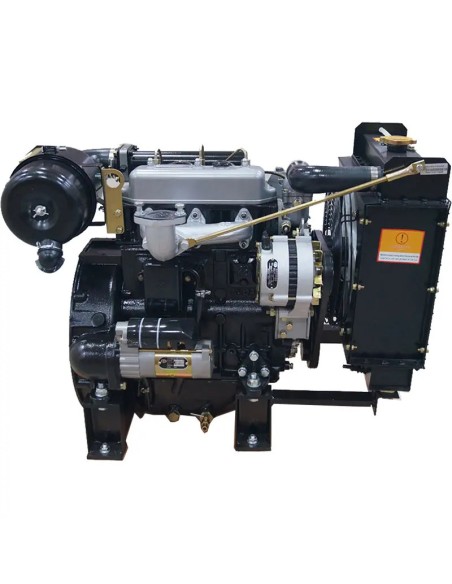 Moteur Diesel YD385D 50/60 Hz
