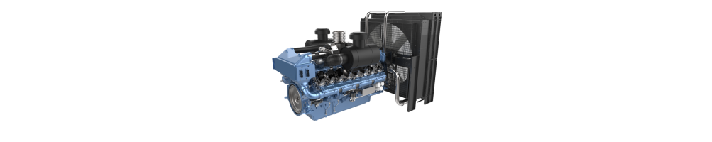 Motores Diesel para Grupos Electrógenos